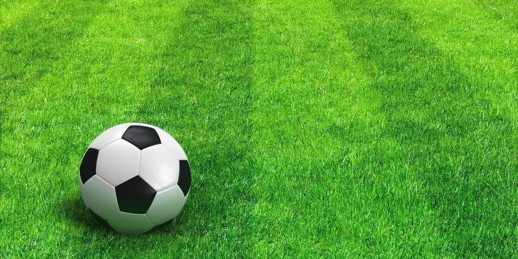 胜负彩21128期赛事数据分析图表